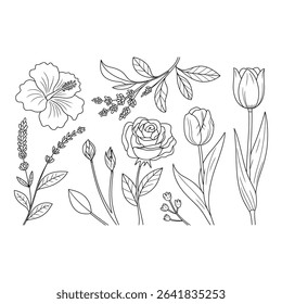 Botanical line art illustration with various flowers isolated on white