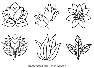 Botanical Line Art Intricate Plant Pattern Illustration for Decor