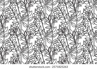 Botanical Line art Marigold abstract seamless plant pattern vector illustration. Black and white outline repeating floral Calendula print. Graphic design for Wallpaper Wedding Cover Wrapping Textile