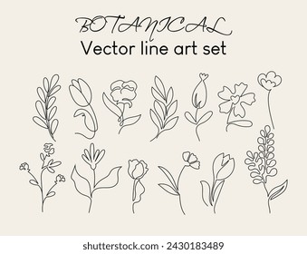 Conjunto de arte de la línea botánica. Colección de vector dibujado a mano floral.