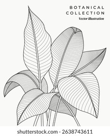 Botánico en estilo de arte de línea | Vector EPS Descarga de archivos