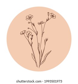 botanical line art. vector illustration of flowers. fern leaves. bonacal graphic elements. 