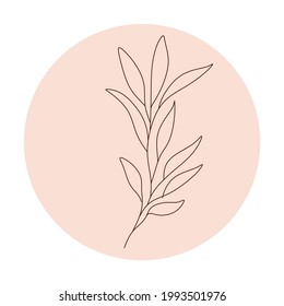 botanical line art. vector illustration of flowers. fern leaves. bonacal graphic elements. 