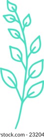 botanical line art vector illustration