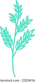 botanical line art vector illustration