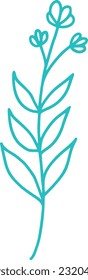 botanical line art vector illustration