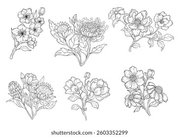 Botanical line art vector illustration set isolated on white. Flower black ink sketch. Modern minimalist hand drawn design.