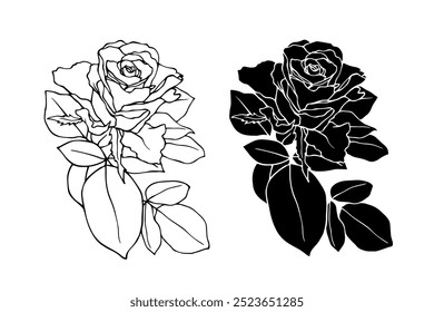 Botanical line catch,contour, silhouette of rose flower.Vector graphics.