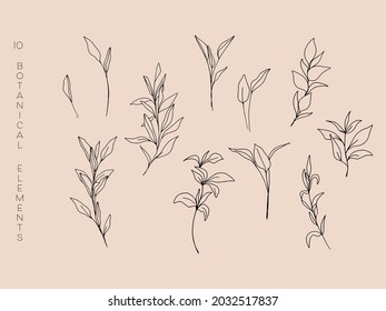 Botanical Line Drawing Flowers and Plants Sketch collection. Modern Line Art. Outline Minimalist Floral Elements For Logo, Wall Art, Poster, Print, T-shirt design, Tattoo, Cover, Postcard. Vector