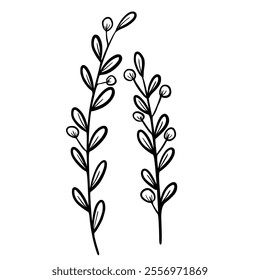 Botanical line drawing. Hand-drawn flower and leaf line art illustration with intricate details, ideal for creating modern designs. Suitable for digital or print use, including invitations, patterns, 