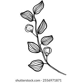 Botanical line drawing. Hand-drawn flower and leaf line art illustration with intricate details, ideal for creating modern designs. Suitable for digital or print use, including invitations, patterns, 