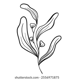 Botanical line drawing. Hand-drawn flower and leaf line art illustration with intricate details, ideal for creating modern designs. Suitable for digital or print use, including invitations, patterns, 