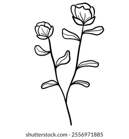 Botanical line drawing. Hand-drawn flower and leaf line art illustration with intricate details, ideal for creating modern designs. Suitable for digital or print use, including invitations, patterns, 