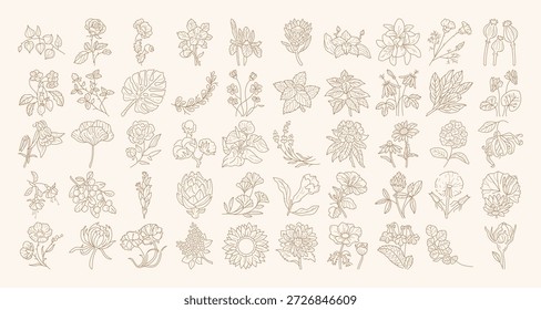 Botanical line icon collection for logo design, brand identity, social media, packaging.	