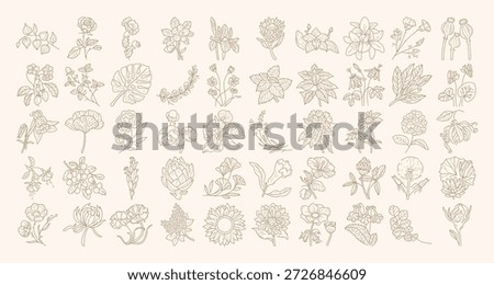 Botanical line icon collection for logo design, brand identity, social media, packaging.	
