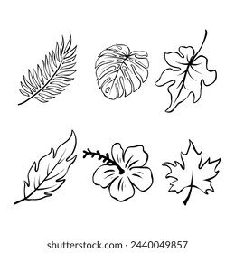 Conjunto de flores botánicas lineales. Colección floral creativa abstracta, arte floral minimalista para impresión, tatuaje. Ilustración de vector