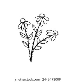 Botanical linear leaf. Abstract minimalist leaves collection, creative herbal art. Vector illustration