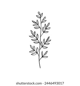 Botanical linear leaf. Abstract minimalist leaves collection, creative herbal art. Vector illustration