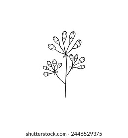 Hoja lineal botánica. Abstractas minimalista hojas de colección, arte herbal creativo. Ilustración vectorial