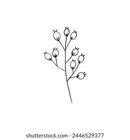 Botanical linear leaf. Abstract minimalist leaves collection, creative herbal art. Vector illustration