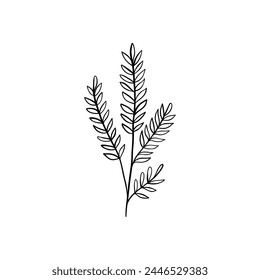 Botanical linear leaf. Abstract minimalist leaves collection, creative herbal art. Vector illustration