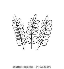 Hoja lineal botánica. Abstractas minimalista hojas de colección, arte herbal creativo. Ilustración vectorial
