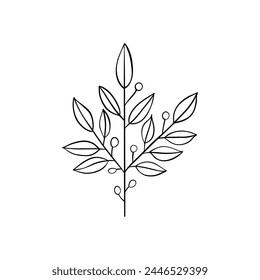 Botanical linear leaf. Abstract minimalist leaves collection, creative herbal art. Vector illustration