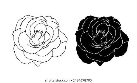 Botanical linear sketch, outline, silhouette of rose flowers. Vector graphics.