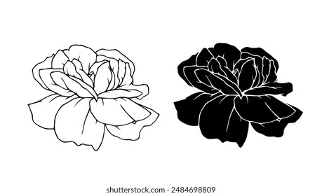 Botanical linear sketch, outline, silhouette of rose flowers. Vector graphics.