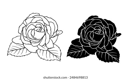 Botanical linear sketch, outline, silhouette of rose flowers. Vector graphics.