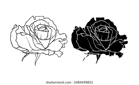 Botanical linear sketch, outline, silhouette of rose flowers. Vector graphics.