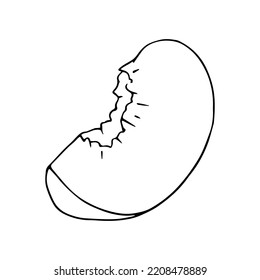Botanical linear sketch of a piece, slice of peach.Vector graphics.