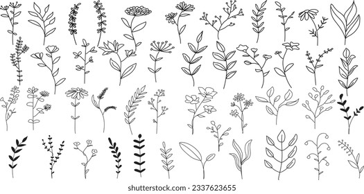 Botanical Lineart Clipart Wildflowers Clipart Floral Line Art Pencil Drawing Herbs Illustrations Minimalist Bouquets Wreath Leaves Flowers
