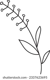 Botanical Lineart Clipart Wildflowers Clipart Floral Line Art Pencil Drawing Herbs Illustrations Minimalist Bouquets Wreath Leaves Flowers
