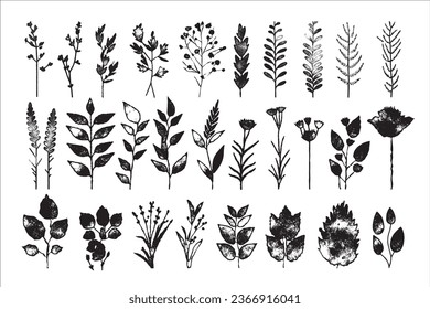 botanical linocut ink plant stamps vector illustration with texture and organic elements, herbs print