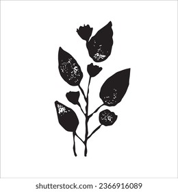 botanical linocut ink plant stamps vector illustration with texture and organic elements, herbs print