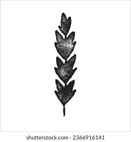 botanical linocut ink plant stamps vector illustration with texture and organic elements, herbs print