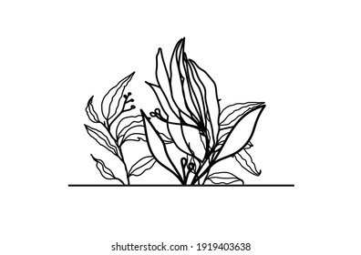 Botanical Logo Frame to be used for minimal choice