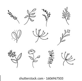 Botanical Logo Outline Drawing Minimal Floral Stock Vector (Royalty ...