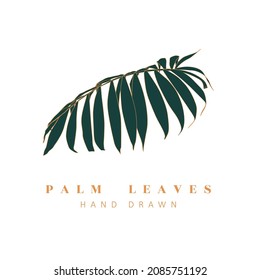 Botanisches Logo, rustikale, trendige, grüne Palmen, hier ist die Illustration zu sehen. Blumenlogo-Design. Abzeichen, Embleme, Logotypen für organische Kosmetik, Florist, Fotografie.