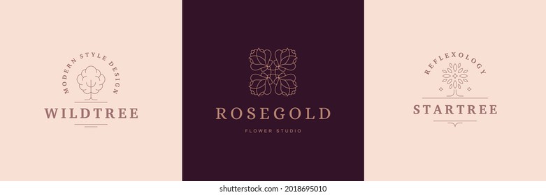 Emblemas botánicos de diseño plantillas de diseño con flores de rosa de flor y vectores de árbol ilustraciones de línea de estilo mínimo. Símbolos de esquema para la marca de cosméticos y embalajes o productos florales