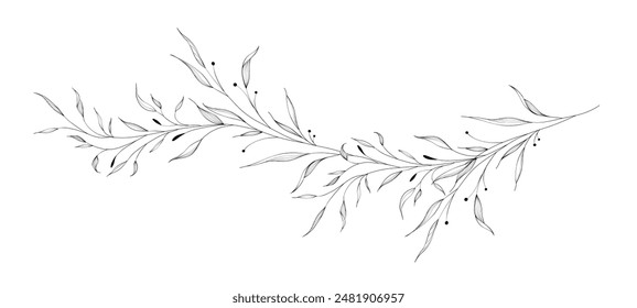 Botanical of long branches and leaves with hand drawn in line art. Floral outline vector illustration suit for design of tattoo, logo, invitations, greeting cards, or coloring pages.