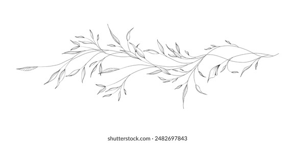 Botanical of long branches and leaves with hand drawn in line art. Floral outline vector illustration suit for design of tattoo, logo, invitations, greeting cards, or coloring pages.