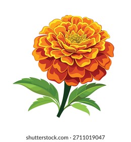 Botanische Ringelblume Blumenvektor mit zerknitterten Blütenblättern und gezackten Blättern