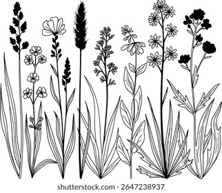Ilustração de Prado Botânico Uma Sinfonia Serena de Elegância Floral Preto e Branco Uma Coleção de Flores silvestres desenhadas à mão e gramíneas