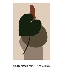 Botanical mid century art style