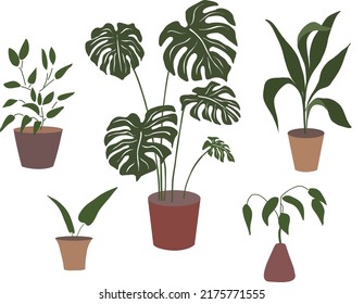 Botanical minimal drawing design set. Aesthetic boho plants vector.