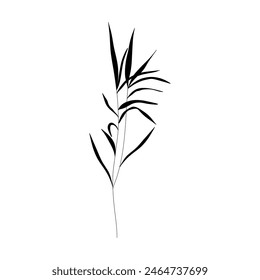 Botanical minimal meadow grass branch. Abstract floral monochrome logo design elements, feminine tattoo sketch, poster. Vector silhouettes illustration
