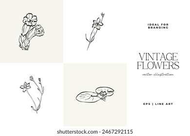 Botanical, Minimal plant flower, hand drawn sketch drawing,  vector illustration