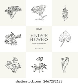 Botanical, Minimal plant flower, hand drawn sketch drawing,  vector illustration